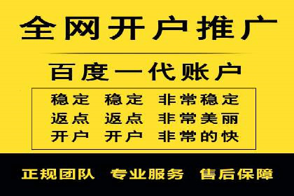 百度SEO推广公司案例分享：行业佼佼者经验